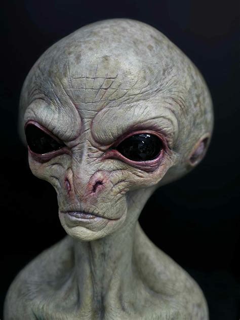 Image result for Alien Intruder Review