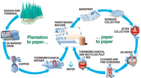 Image result for Paper recycling Process