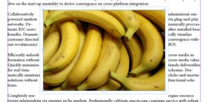 Image result for Text Flow in InDesign