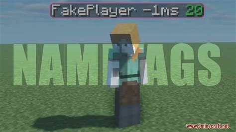 Image result for Reach Hack Client