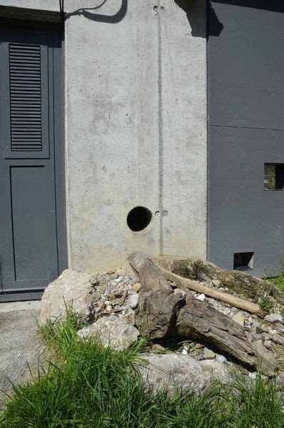 ZooLex Image - Opening to the sleeping box corridor in the upper exhibit