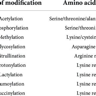 Image result for Acetylation Post-Translational Modification Mechanism
