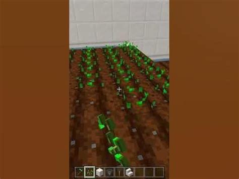 Image result for Minecraft 1.19 Farm Tutorials