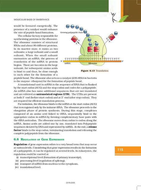 Image result for Class 12 Chapter 6 Evolution