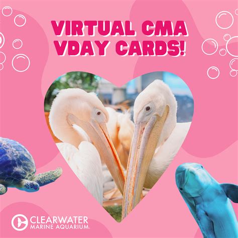 2023 Virtual Valentine's Day Cards - Clearwater Marine Aquarium