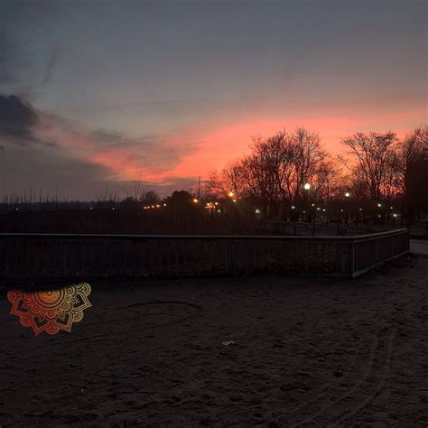 Sea Bluff Beach (2026) - All You MUST Know Before You Go (w/ Reviews ...