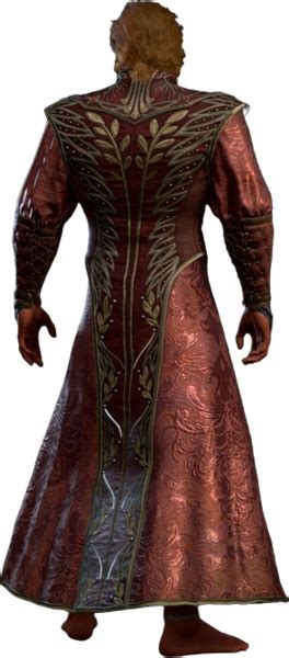 File:Shelter of Athkatla Half-Elf Back Model.webp - bg3.wiki