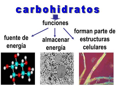 Función de los carbohidratos | blog.nutri