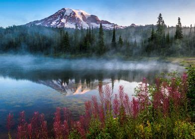 Image result for Nature Sample