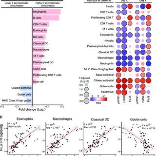 Image result for Cell Type Gene Expression