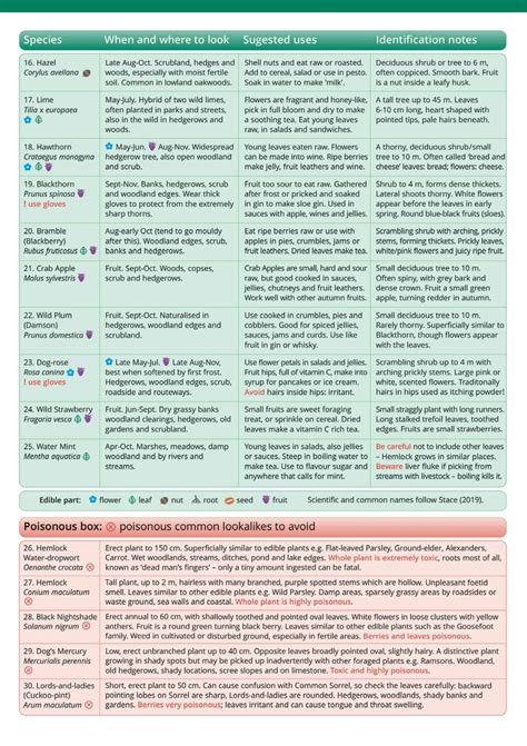 Image result for Foraging Guide