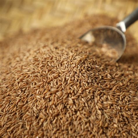 Terra-Bamboo Rice – Terra Earthfood