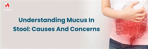 Decoding Mucus in Stool: Causes & Issues