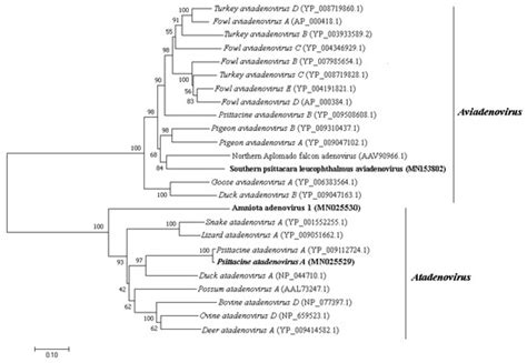 Viruses | Special Issue : Emerging Viruses: Surveillance, Prevention ...