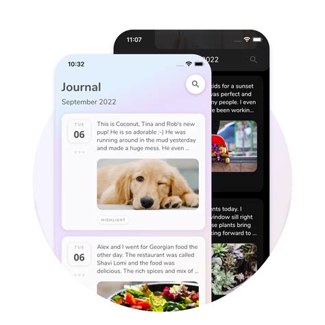 Reflection Software 的图像结果