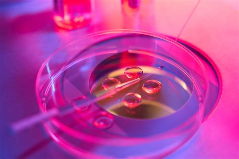 Image result for Egg Freezing Process