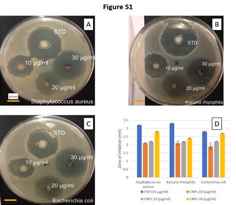 THERAPEUTIC EVALUATION OF CHEMICALLY SYNTHESIZED COPPER NANOPARTICLES ...