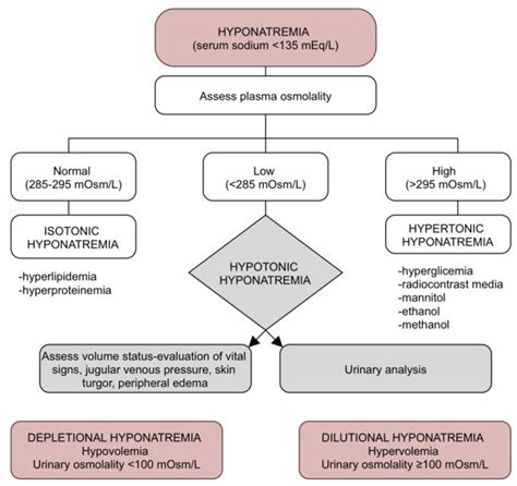 Hyponatremia Algorithm 的图像结果