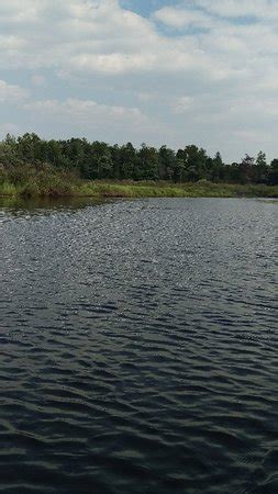 The Woods (Newberry) - 2022 What to Know Before You Go (with Photos ...