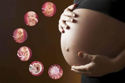 怀孕28周，胎儿发育关键期，一些事项不注意，会增大健康风险_腾讯新闻