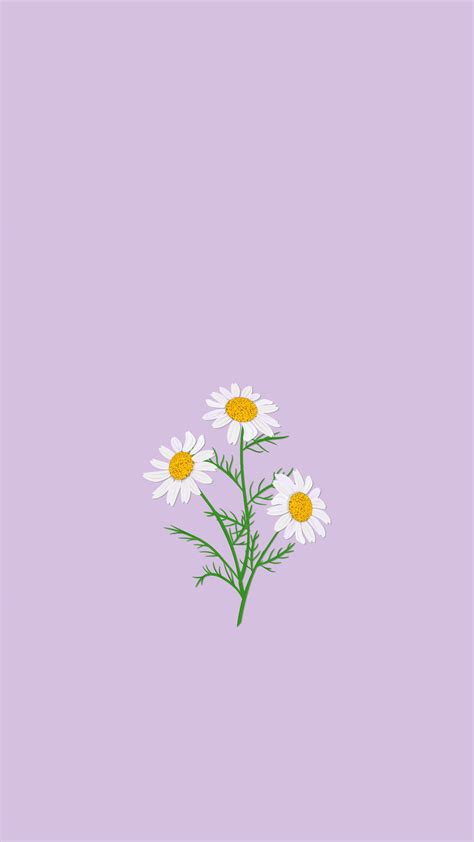 Lavender Flower Wallpaper