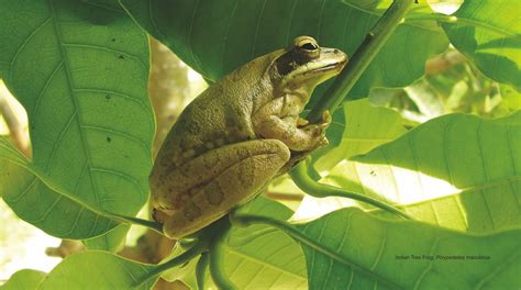 Photos: Finally, a government-authorised collection captures the ...