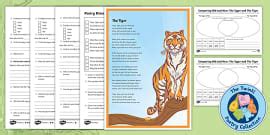 The Tyger Poem Print-Out - KS2 Poetry | Twinkl