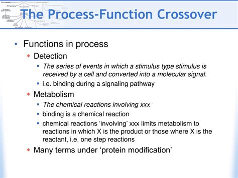 How to Make Function in Processing 的图像结果