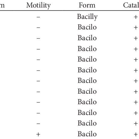 Image result for API Kit 20E