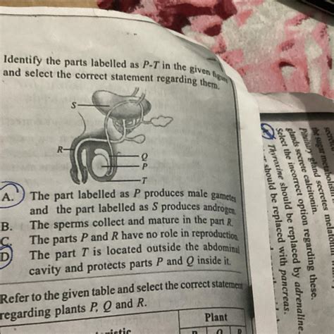 Identify the parts labelled as p-t in the given figure and select the ...