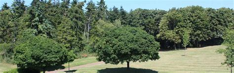 Hôtel restaurant Fontainebleau | Campanile
