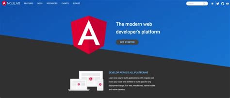 Image result for Angular 13 Springboard Answers