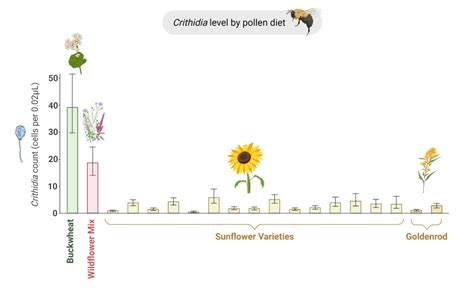 Hort Notes 2022 Vol. 33:6 : Center for Agriculture, Food, and the ...