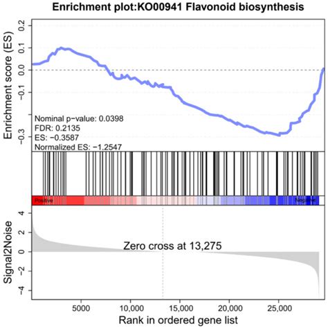 High-Depth Transcriptome Reveals Differences in Natural Haploid Ginkgo ...