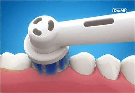 Buy Oral-B Genuine Precision Clean Replacement White Toothbrush Heads ...