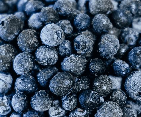 Frozen Blueberries Carbs 100G at Abbey Wales blog