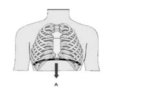 A structure, labeled as ‘A’ in the image is forming the floor of the ...