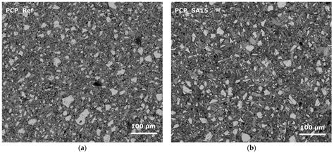 Structure–Property Relationships of Polymer-Modified Cement Concrete ...