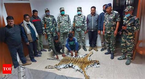 Two of a gang held for trying to sell tiger skin, nails in UP's Kheri ...
