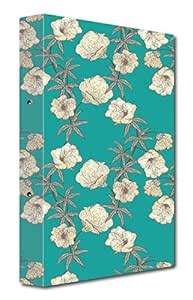 Nourish Punchless File - Lever Clip : Amazon.in: Office Products