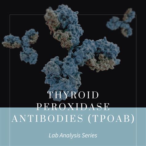 Thyroid Peroxidase Ab