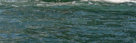 San Diego Speed Boat Tour - Klook India