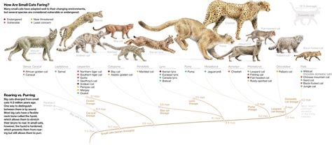 Pin on ANIMALS
