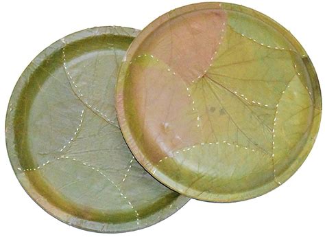 SWHF Bio Degradable Disposable Plates | Eco Friendly | Wedding ...
