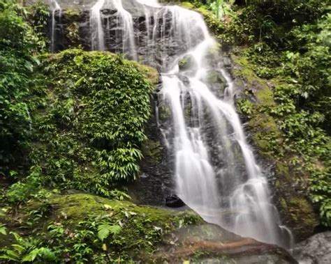 THE 30 BEST Places to Visit in Suriname (2026) - Must-See Attractions