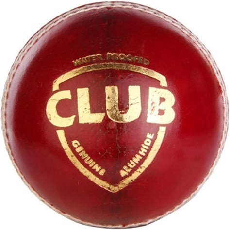SG Club Leather Ball (Red), cricket, 160 Grams : Amazon.in: Sports ...