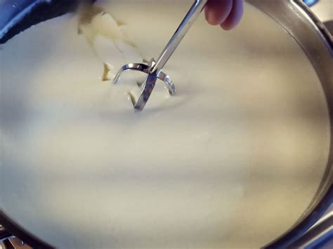 Alles andere ist Käse: selbstgemachter Camembert | hektar