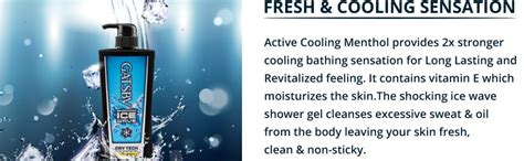 Gatsby Japan Refresh Body Shower Gel, Masculine, Blue, 600 ml : Amazon ...