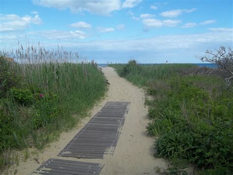 Lucy Vincent Beach (Chilmark) - 2020 What to Know Before You Go (with ...