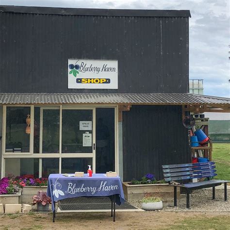 BLUEBERRY HAVEN (2025) All You Need to Know BEFORE You Go (with Photos ...